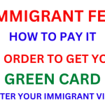 How much is travel document fee for green card holders