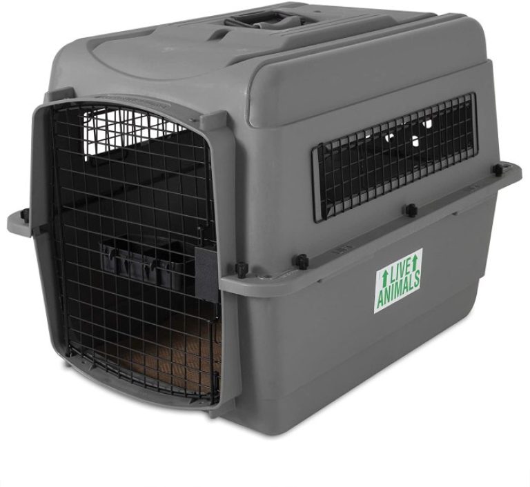 Dog travel crate