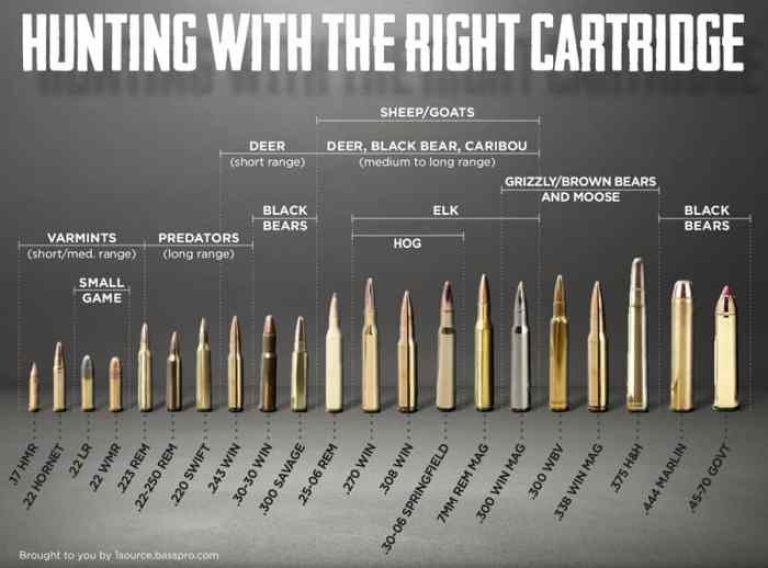 How far does a bullet travel