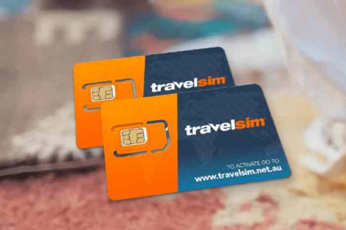 Aaa aca travel sim card international